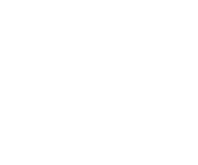 SPe3, Sistem Pengurusan Pelan Pembangunan